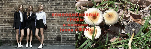 ECSTASY Бронницы